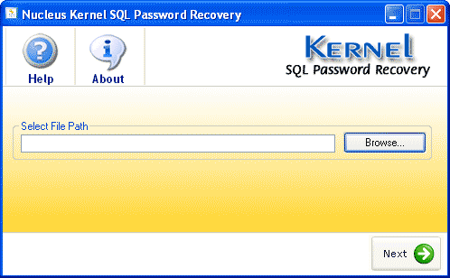 Screenshot of Kernel SQL Password Recovery