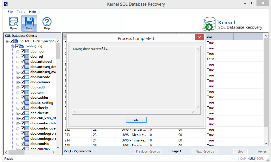 Repaired SQL database saved successfully