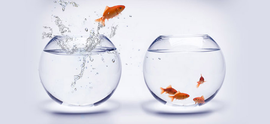 Why Do Organizations Need to Migrate from Lotus Notes to Outlook?