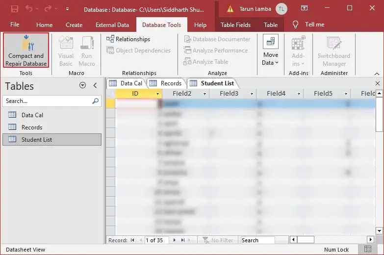 Select Database Tools and click on Compact and Repair Database