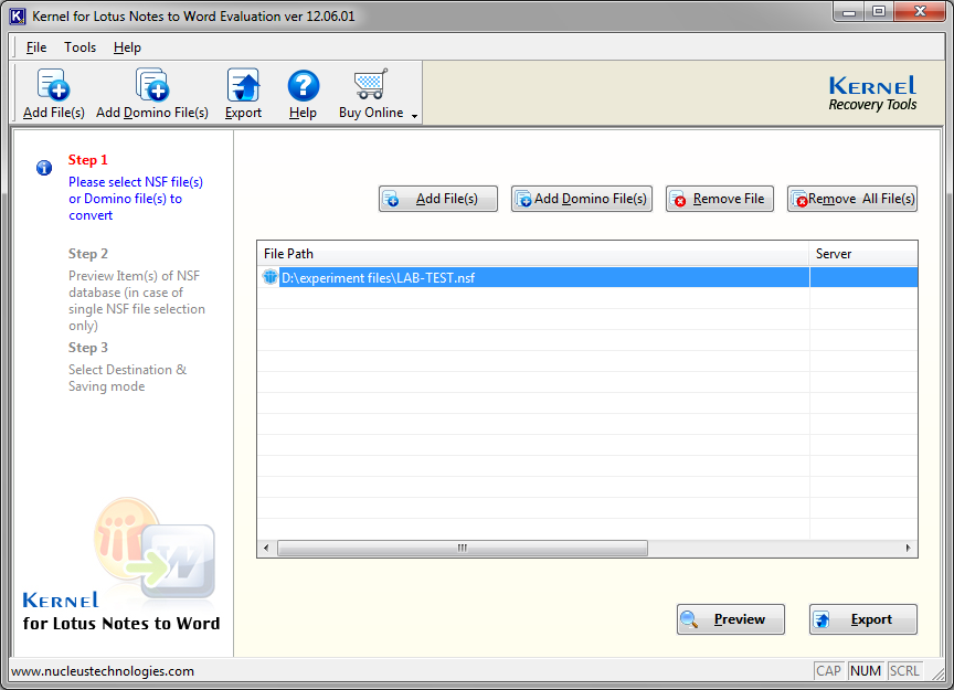 Launch Lotus Notes to Word Software