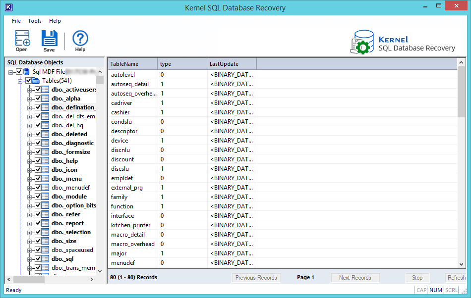 preview recovered database