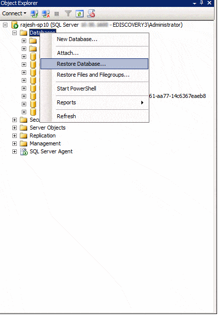 Restore Database