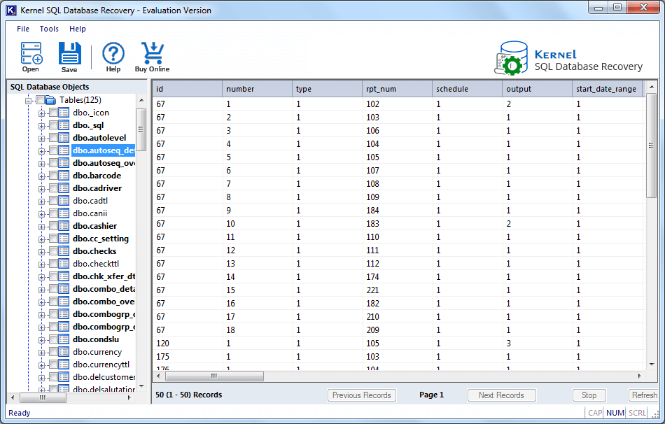 Preview the recovered files