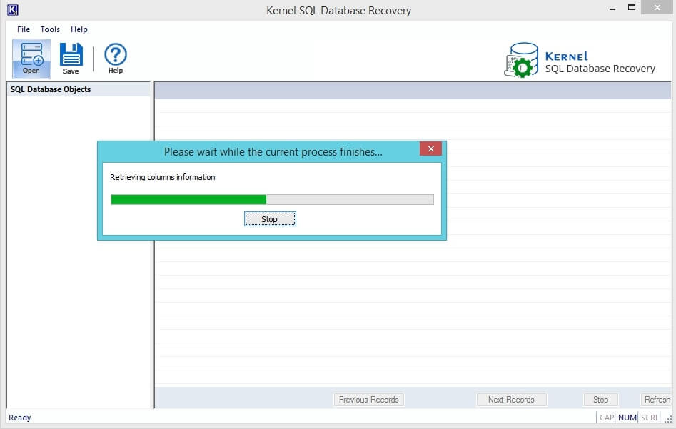 Database Processing