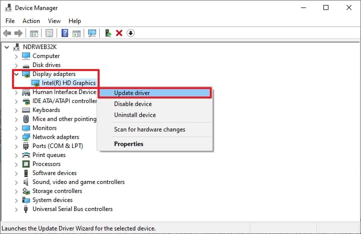 Inside the Device Manager expand the Display Adapters
