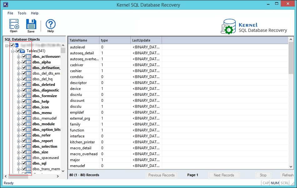 Select database objects to recover