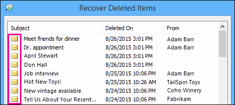 Recoverable Items folder