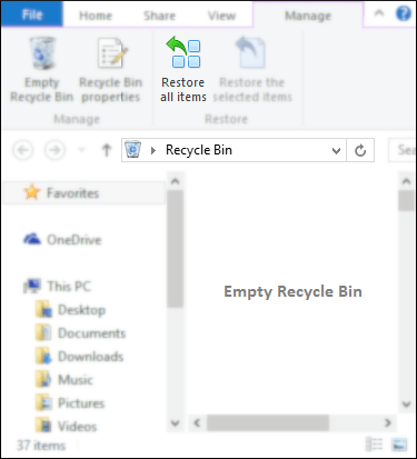 Recycle Bin folder