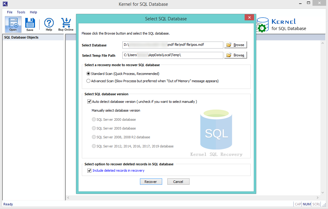 check the box to detect the database version automatically