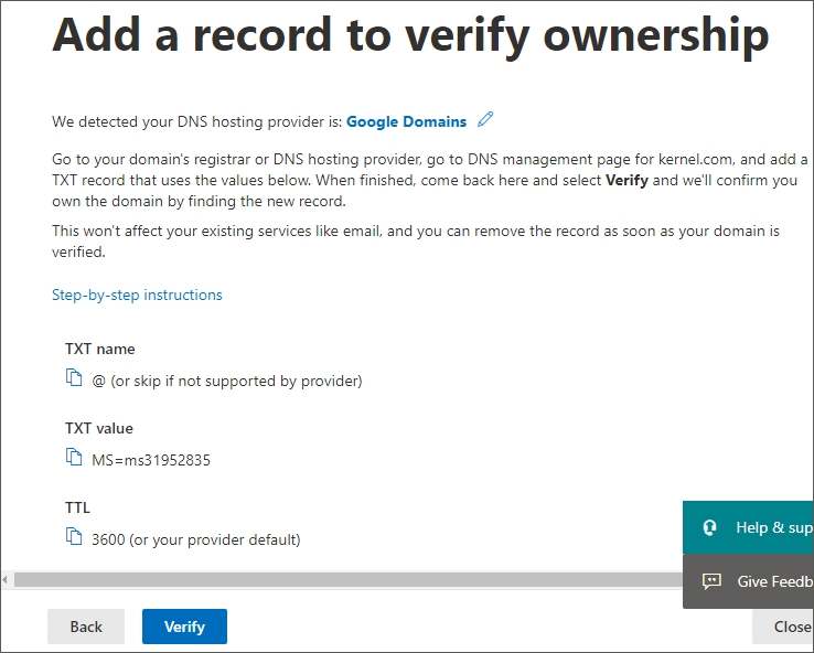 verify the domain ownership