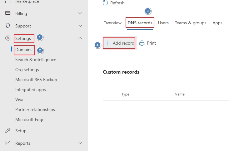 add custom DNS record