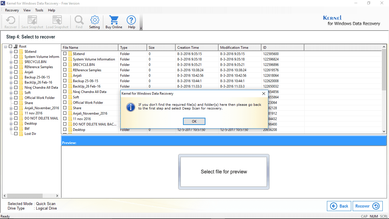 Check recovered data in Preview pane