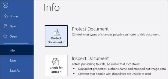Choose Protect Document
