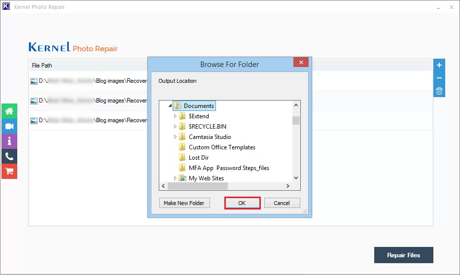 save the repaired files
