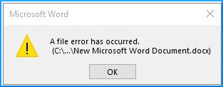 A file error has occurred