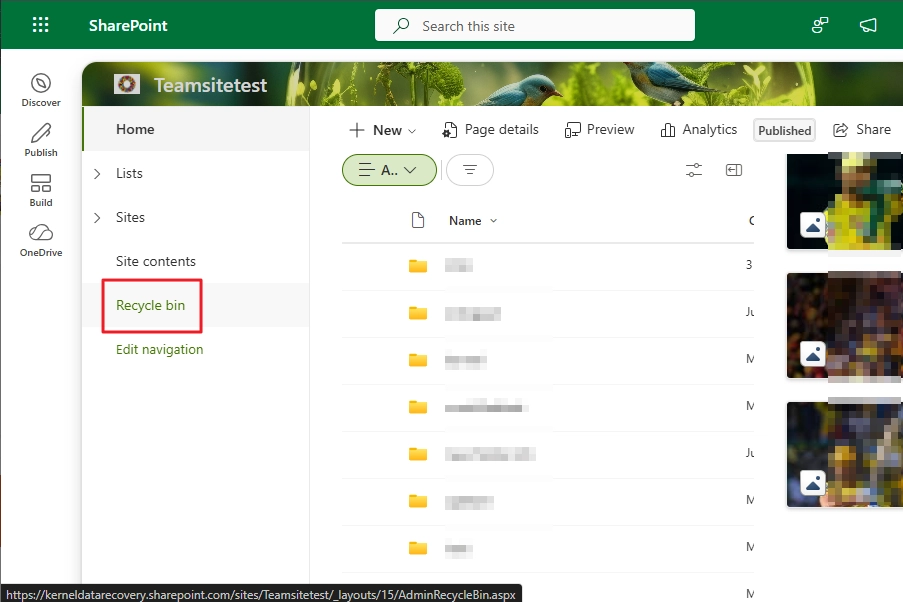click on the Recycle bin option