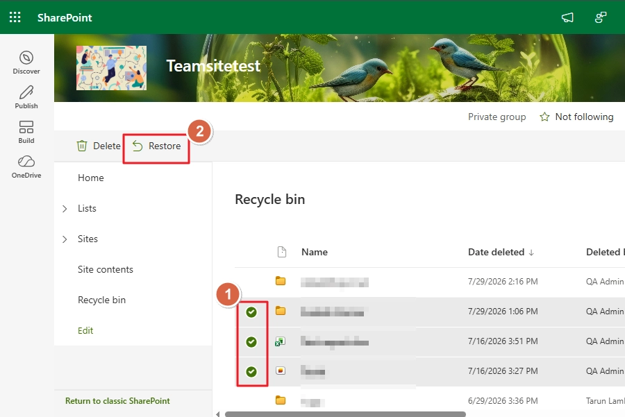 Select the items you want to restore and click on restore