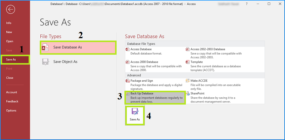 Back Up Database