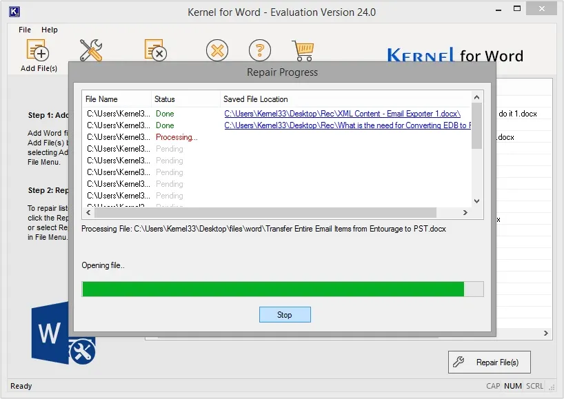 The tool will start repairing the Word file