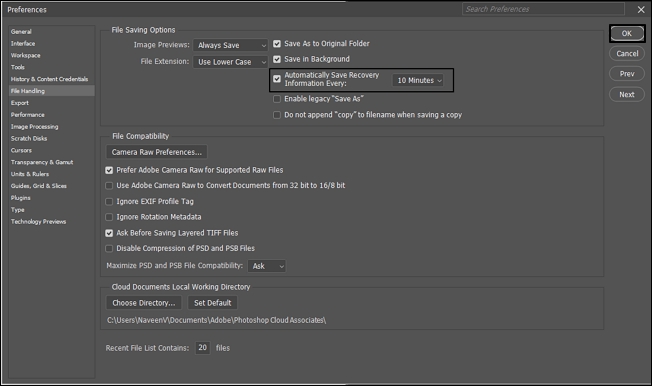 Select Automatically Save Recovery Information Every