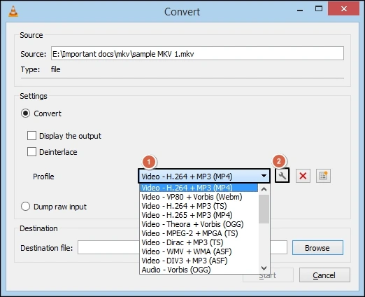 choose mp4 format
