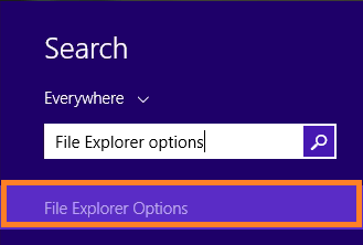 Type File Explorer Options