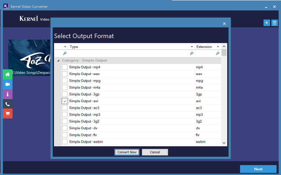 Choose the AVI formats