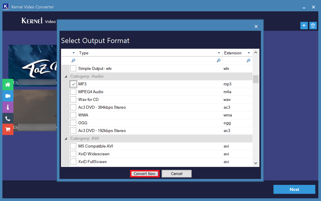 Select the checkbox in front of the MP3 option then click the Convert Now