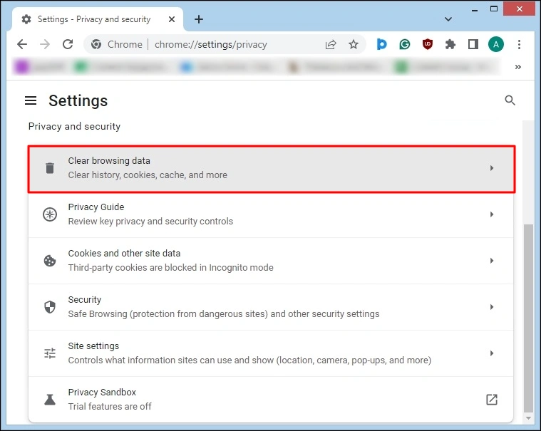 clear browsing data section