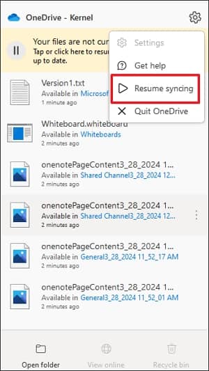 click on the OneDrive icon and go to help and settings
