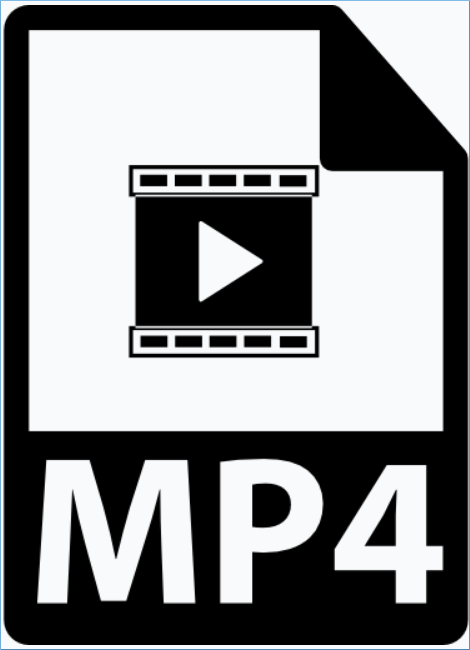 MP4 Format