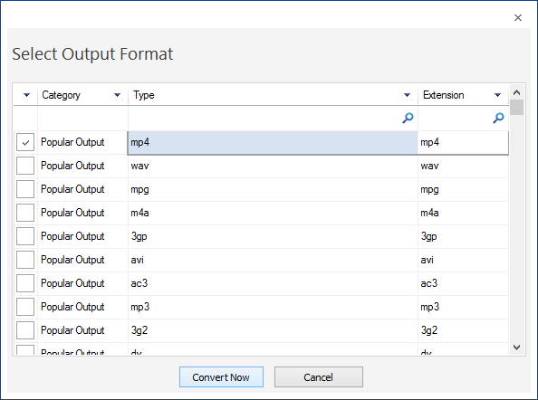 Select the video format to convert