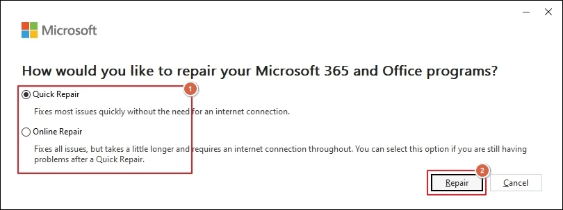 Choose appropriate repair option