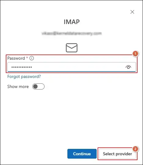 Type password and select provider