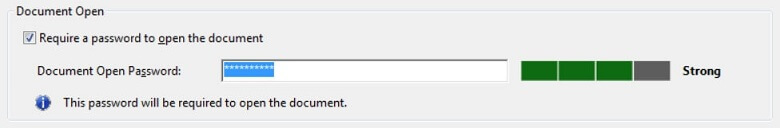 Select Require a Password to Open the Document