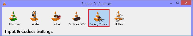 Input/ Codecs