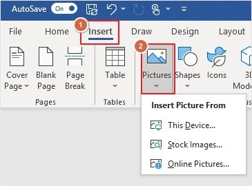 insert pictures