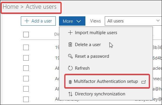 Multifactor authentication setup