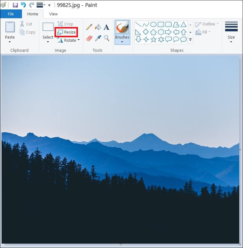 Select the Resize option