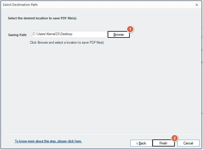 click on the Finish button to begin the conversion process