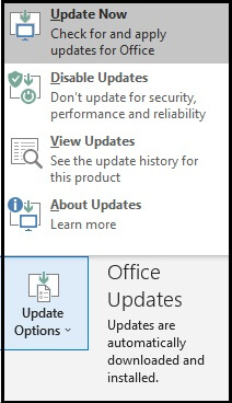 Select the update option and then click on Update now