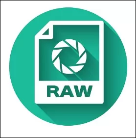 RAW file