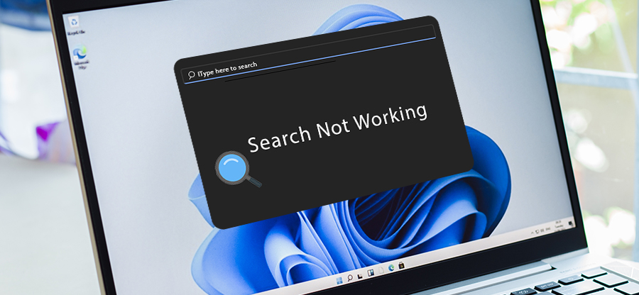 6 expert methods to fix Outlook 2019 search not working in Windows 11