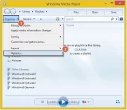 Go to Organize on the top menu bar in the windows media player