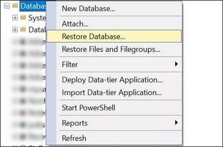 choose the option Restore Database