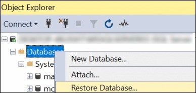 choose the option Restore Database option