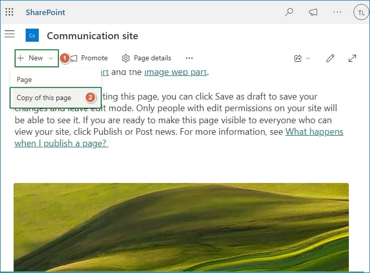 create a copy of this page