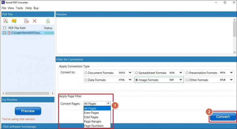 How to Convert PDF to EMF Files Format Easily?