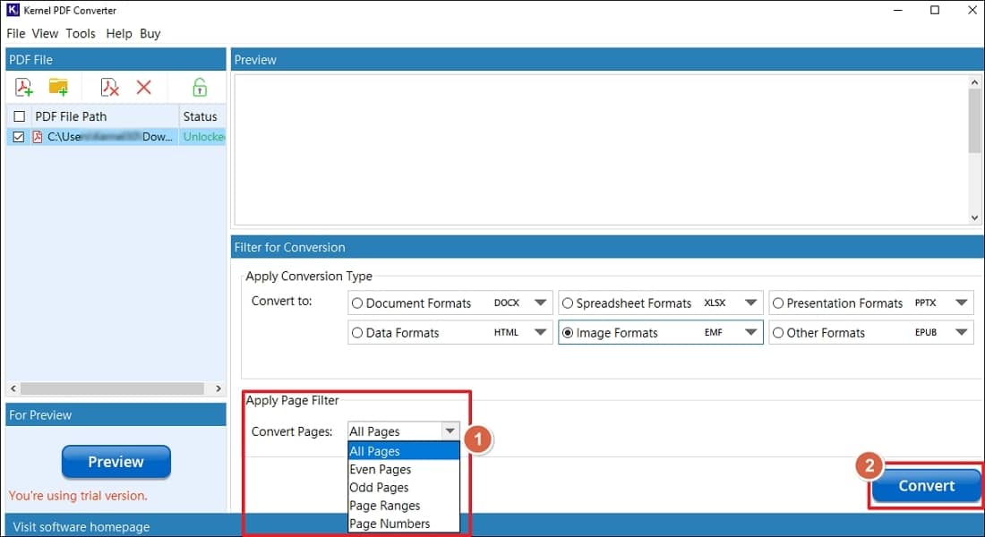 set page filters and hit convert